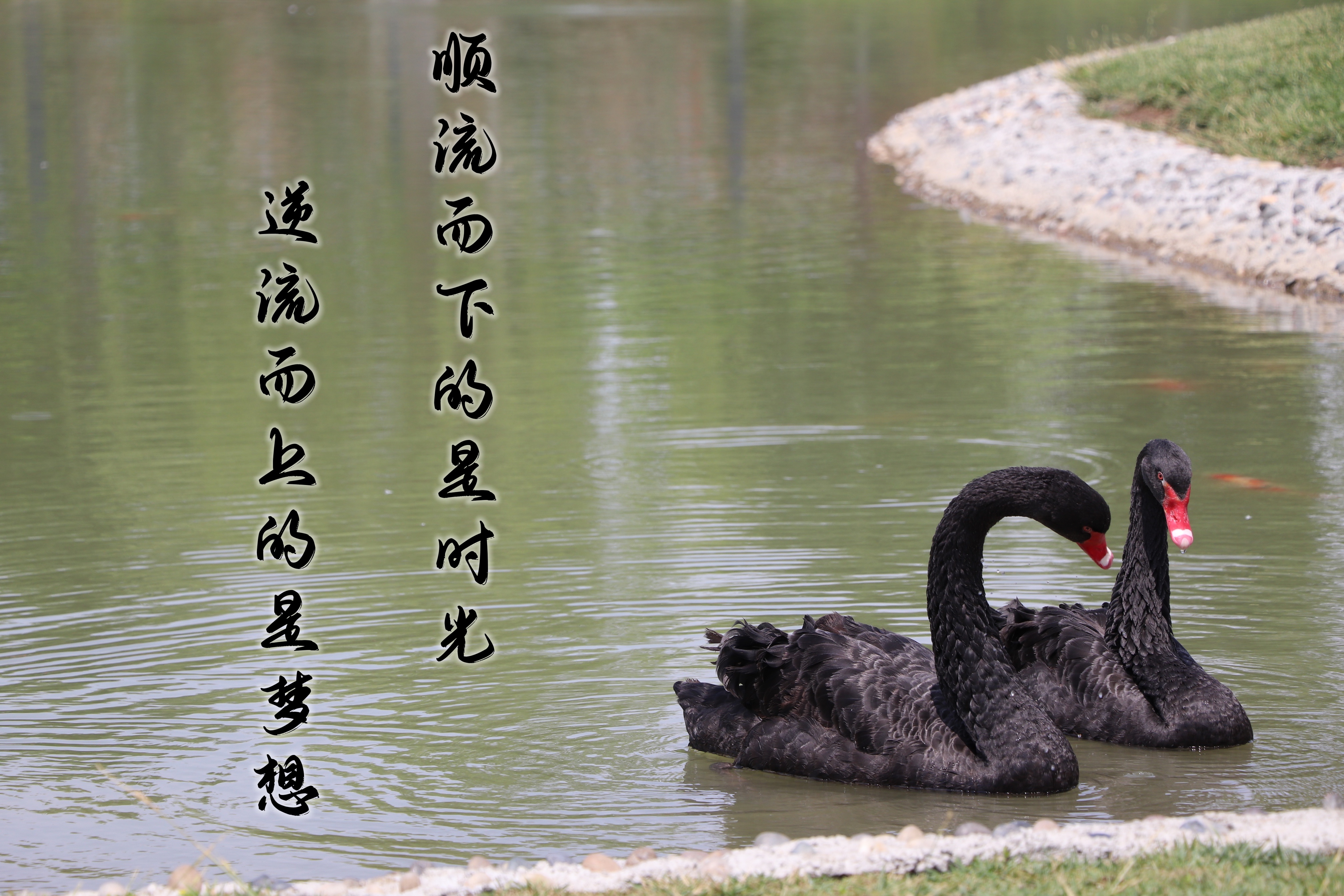 【济宁大运河驾校】乾坤未定，超越自我无悔青春！(图5)