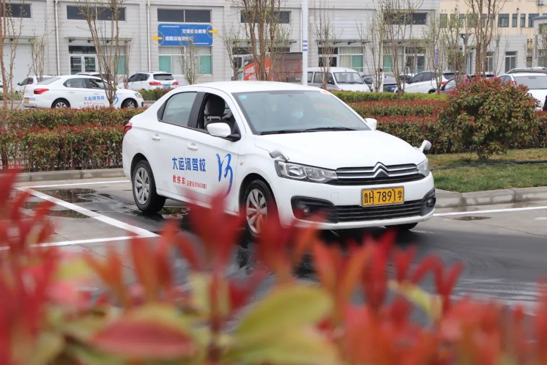 【济宁大运河驾校】春分丨不负好春光，从学本驾照开始！(图2)