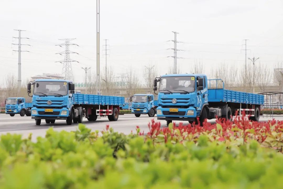 【济宁大运河驾校】春分丨不负好春光，从学本驾照开始！(图3)