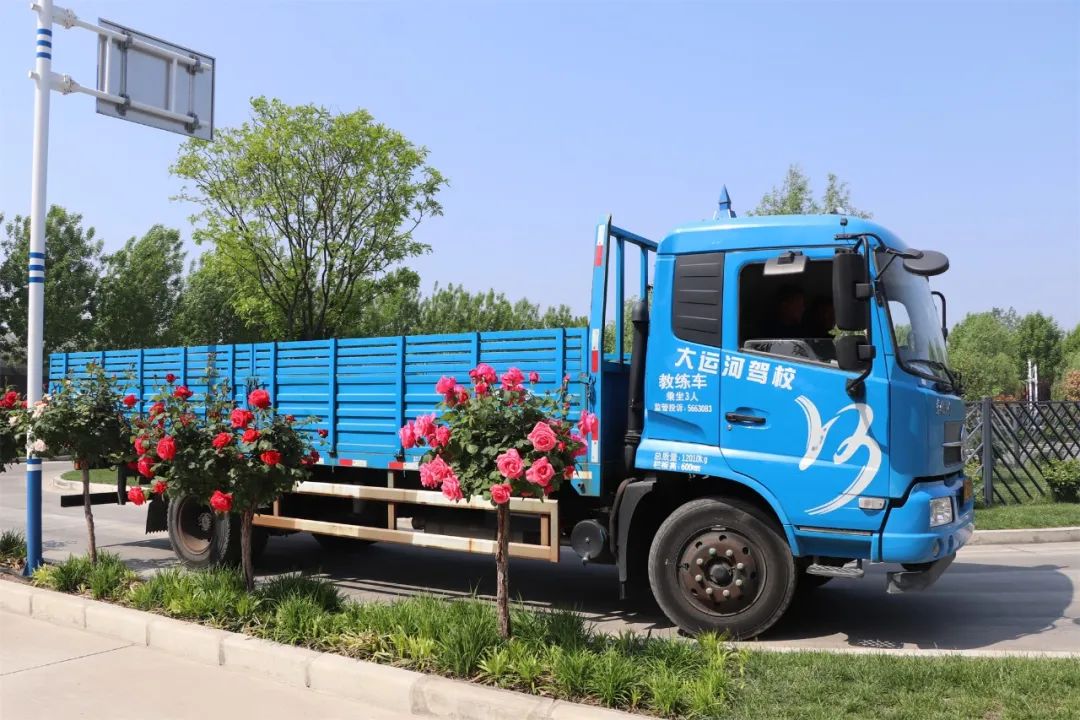 【济宁大运河驾校】五四青年节丨致青春，充实自己，来学车！(图3)