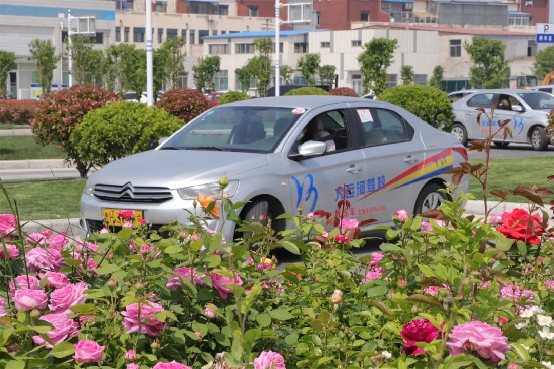 【济宁大运河驾校】五四青年节丨致青春，充实自己，来学车！(图1)