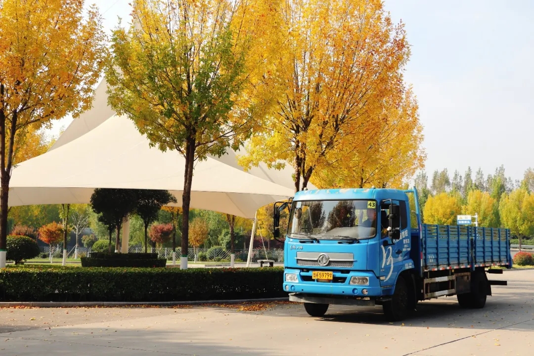 赏校园秋日盛景,享大车班型升级福利——学车就现在!(图7) 赏校园秋日盛景,享大车班型升级福利——学车就现在!(图7)