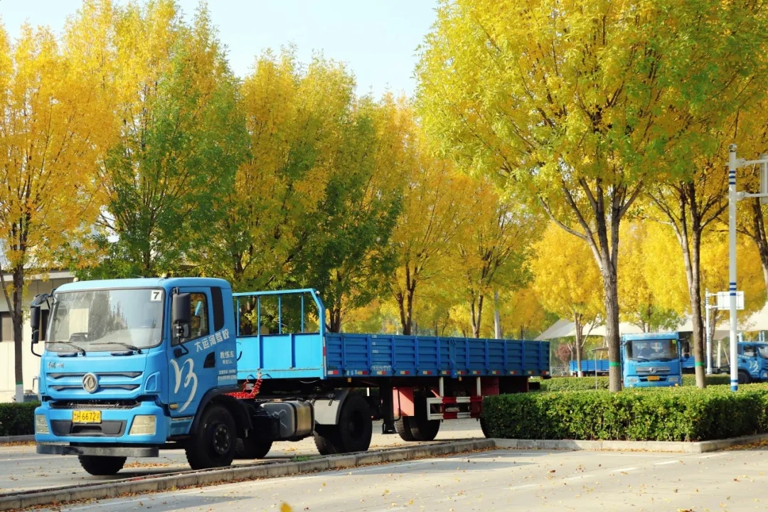 赏校园秋日盛景,享大车班型升级福利——学车就现在!(图13) 赏校园秋日盛景,享大车班型升级福利——学车就现在!(图13)