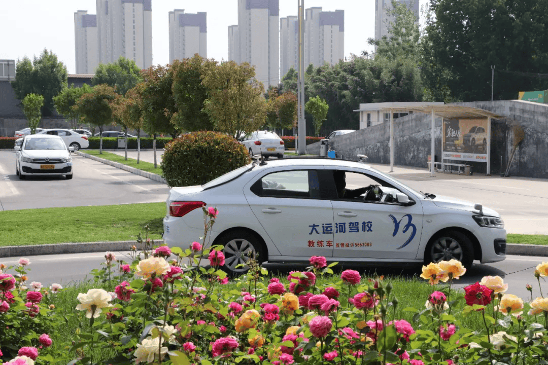 【济宁大运河驾校】满园繁花迎五一，学车趁惠正当时！(图5)