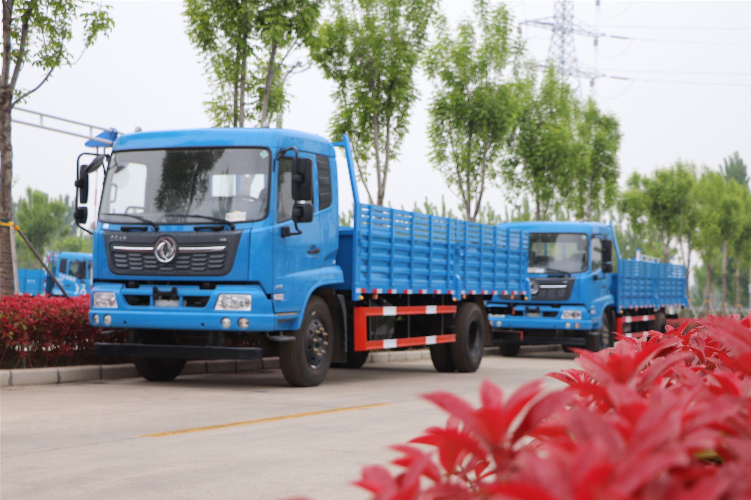 再增新车！助力学员快速拿证。(图1)